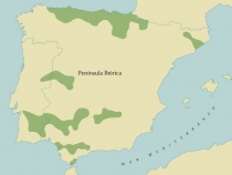 Mapa Vitis Silvestris na Peninsula Iberica