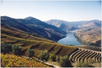 o-val-de-douro_2