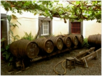 madeira-wine-company_2