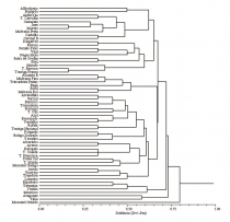dendrograma-59-castas