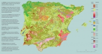 Carta de Solos da Peninsula Iberica