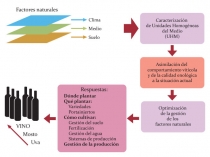 Metodologia de Zonamento integrado do Terroir