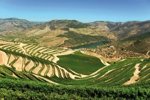 Douro Valley